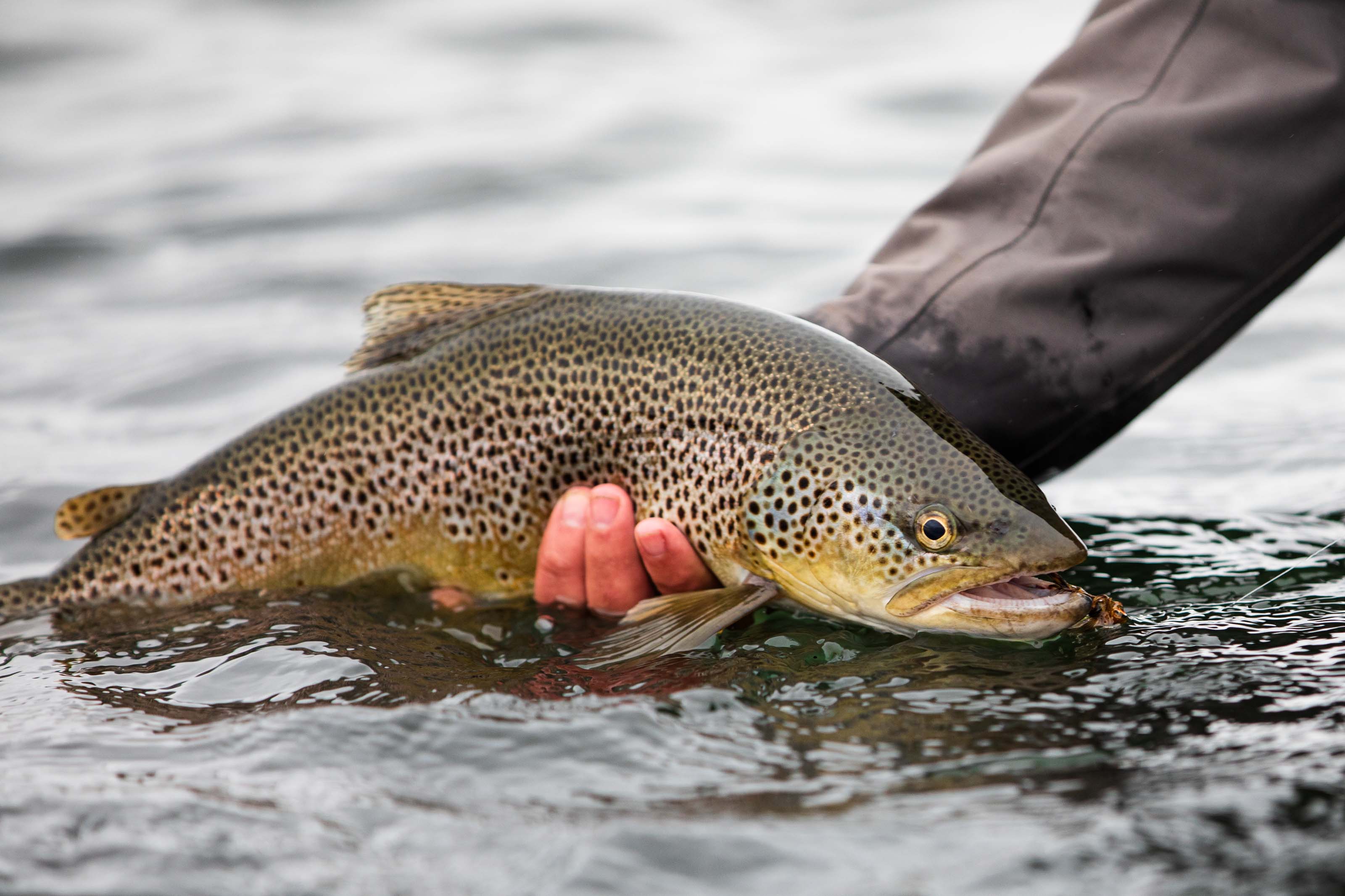 The Icelandic Highlands Fly fishing Iceland for Ice Age brown trout