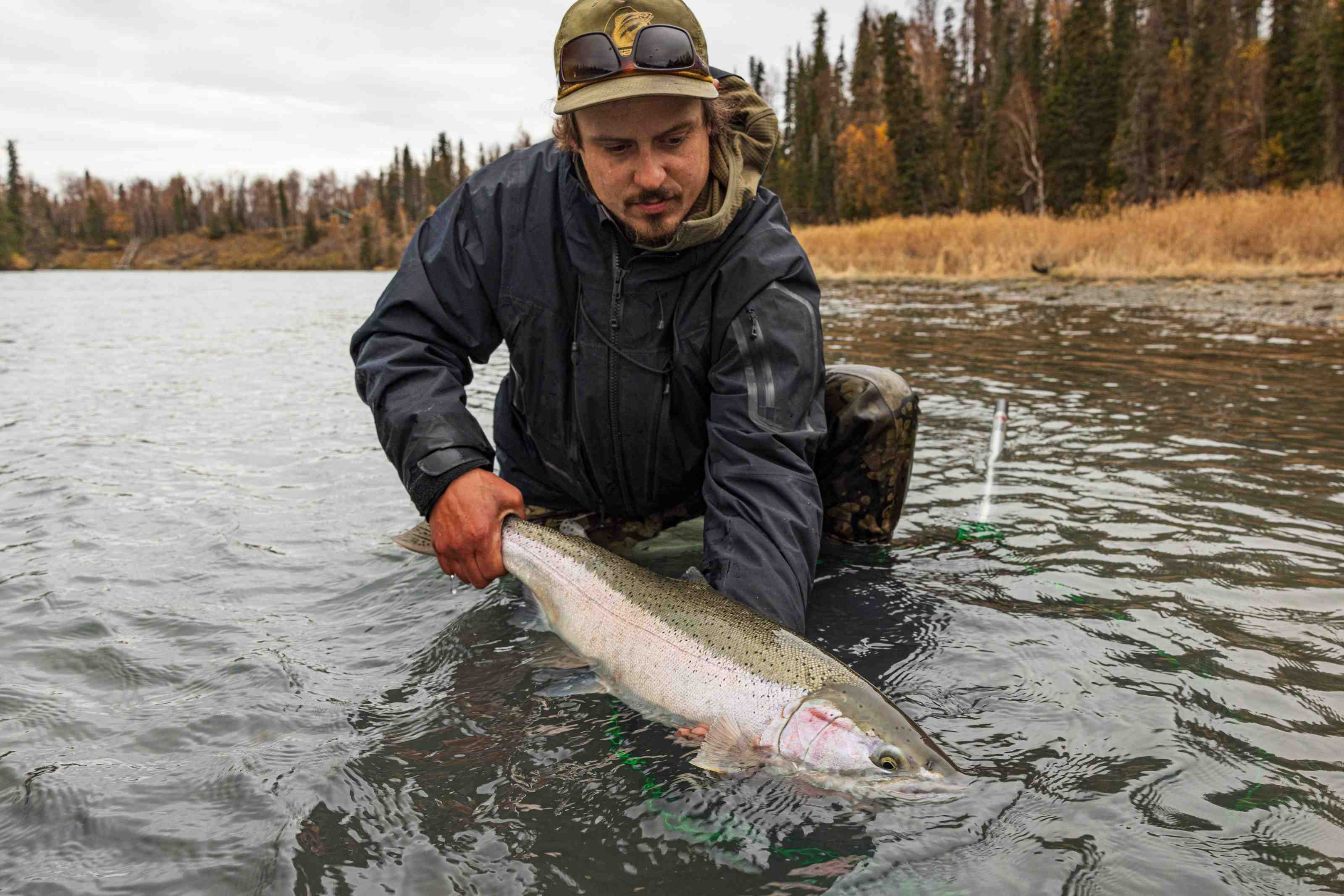 Steelhead Fishing in Alaska
