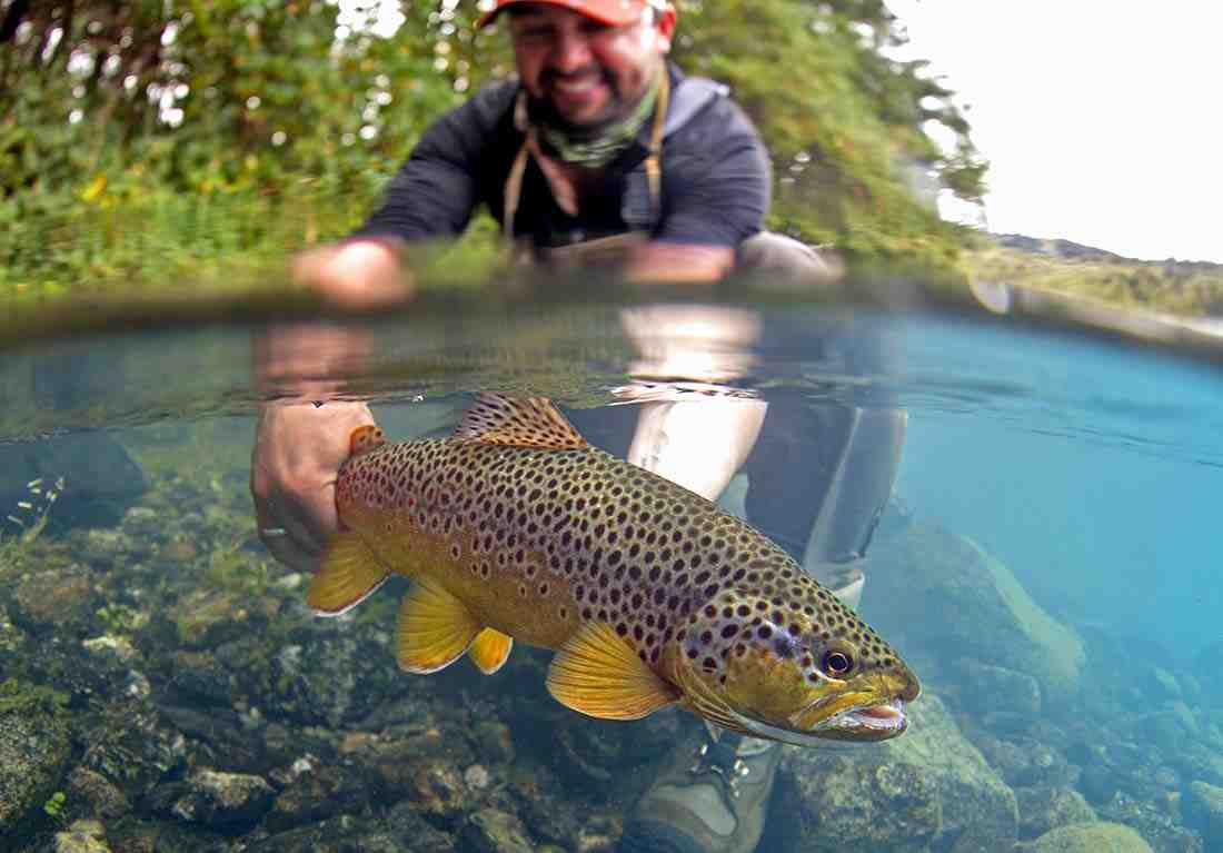 Magic Waters Lodge, Fly fishing Chilean Patagonia for trophy brown and  rainbow trout