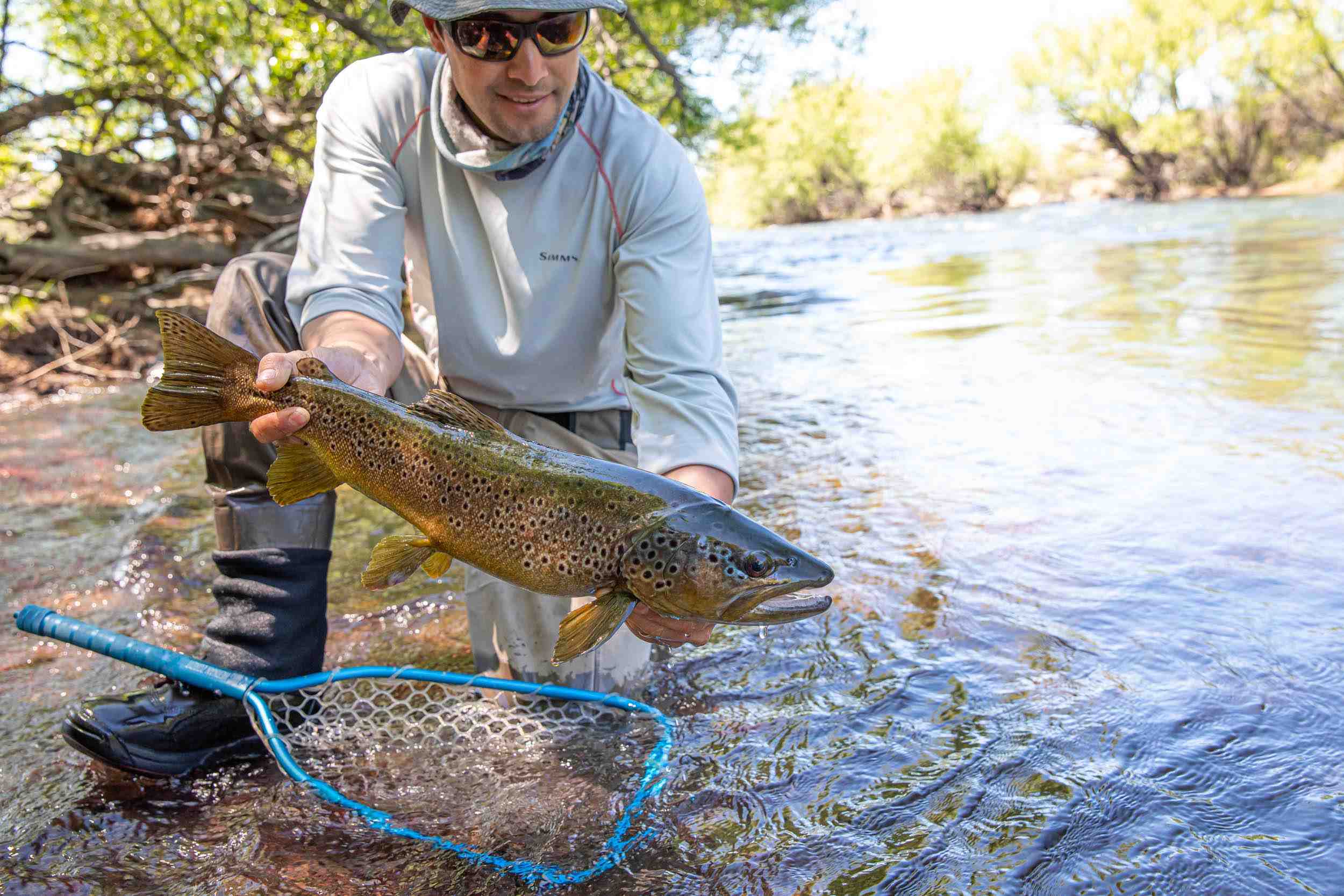 A Guide to Brook & Brown Trout Fishing in Patagonia - Got Fishing