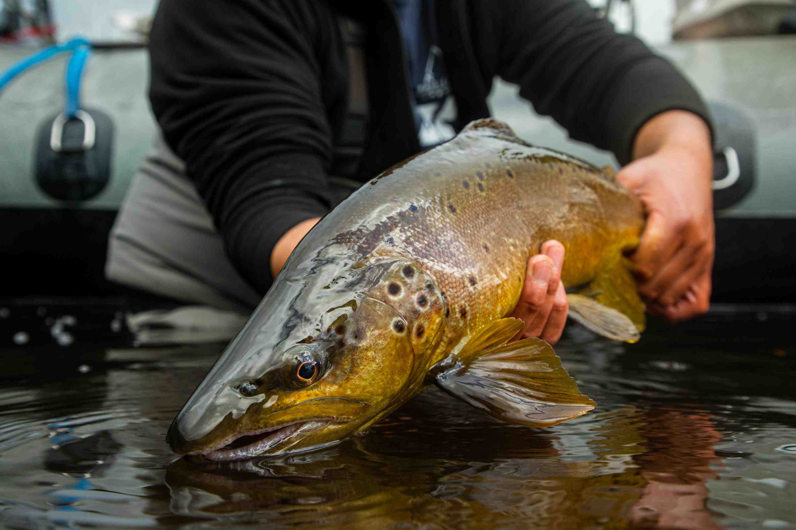 Crystal Clear Water Filled With Fish! Fly Fishing the Beach! 