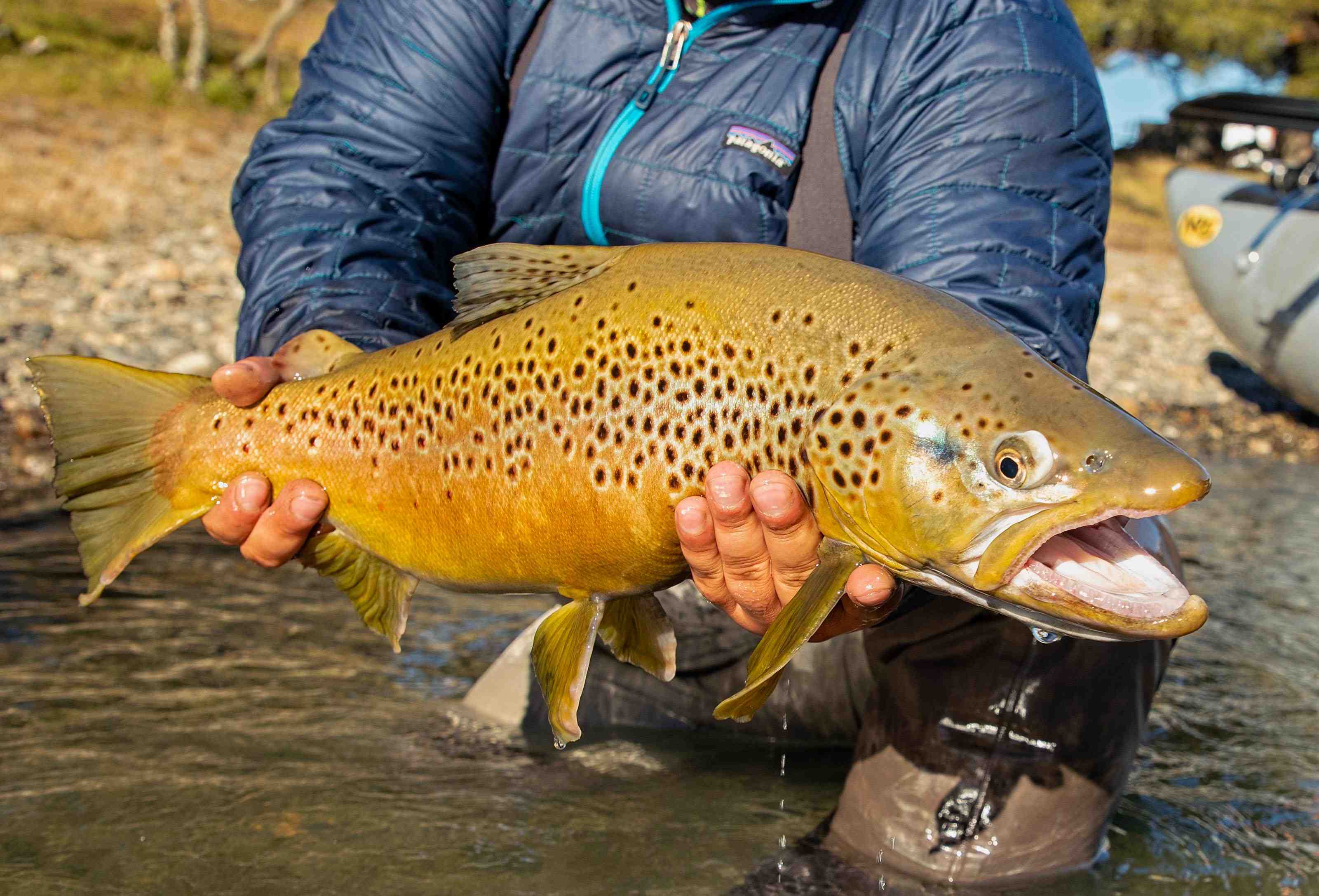 Patagonia Baker Lodge, Chile fly fishing for trophy trout