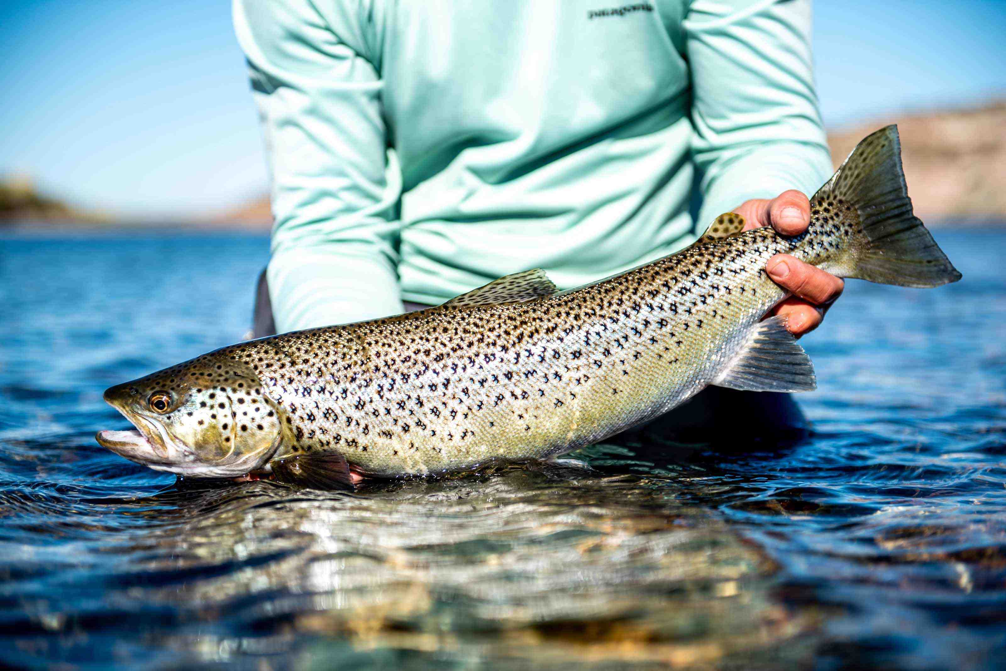 patagonia fishing guides